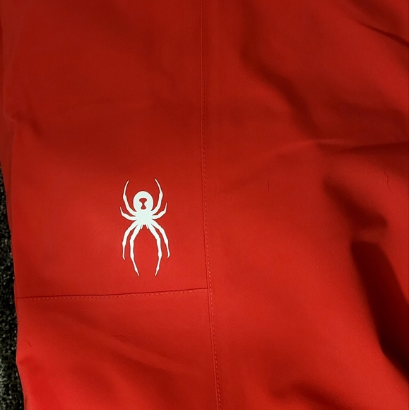 Spyder Winner Gore Tex Pants - Picture 6 of 12